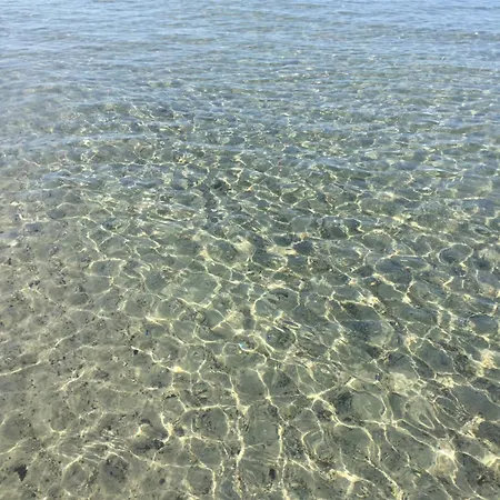 Apartament La Conchiglia Sul Mare