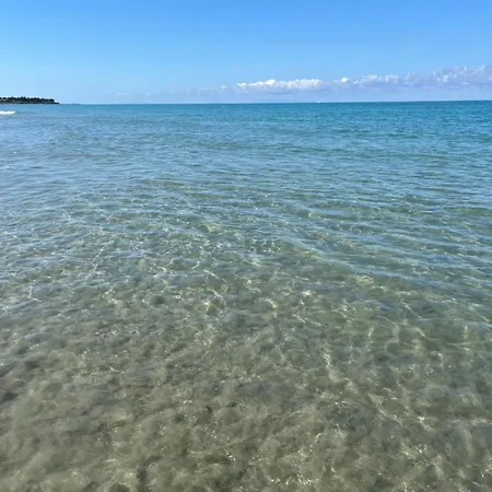La Conchiglia Sul Mare Apartament